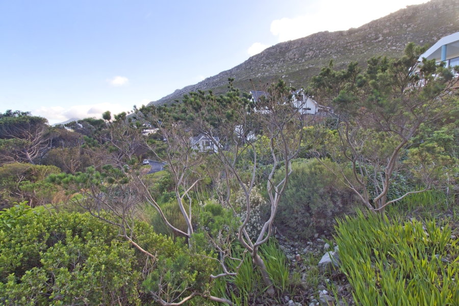 0 Bedroom Property for Sale in Clovelly Western Cape